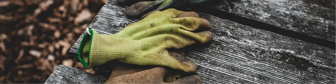 Handschoenen