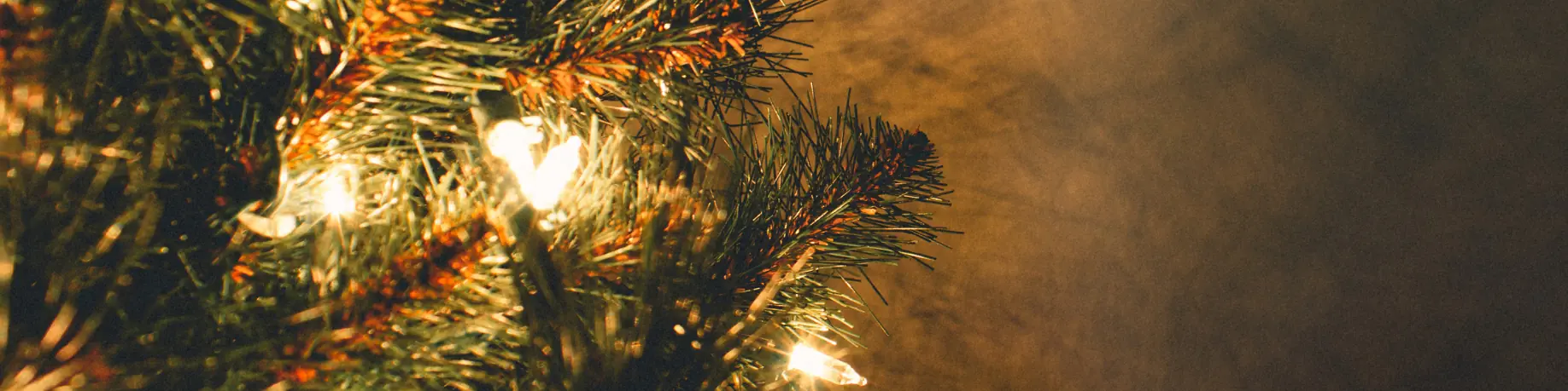 LED lampjes bomen