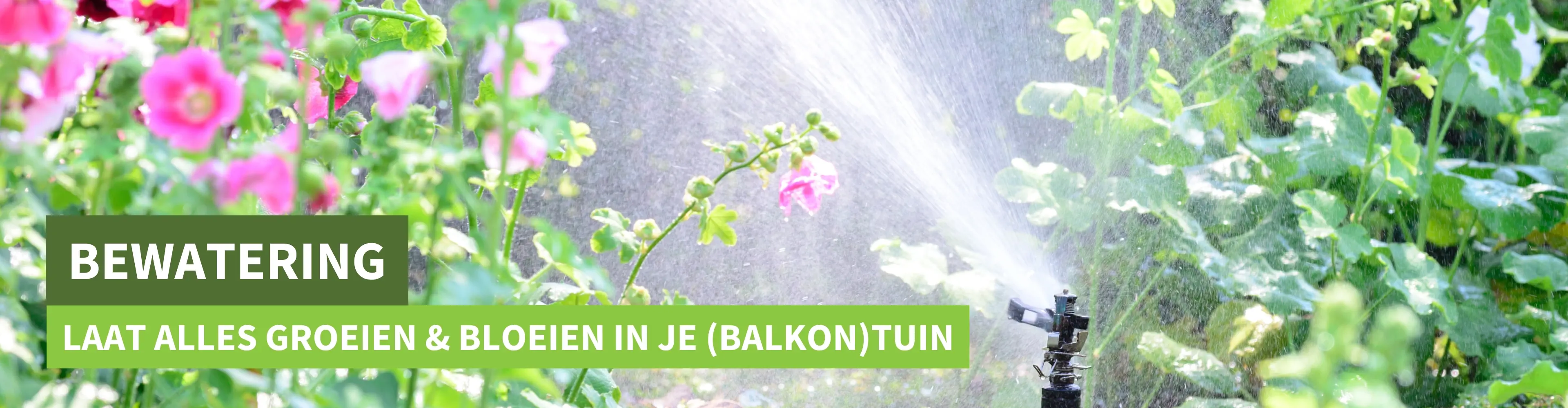 Bewatering