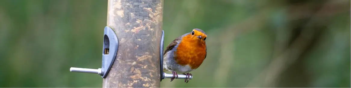 Vogelverschrikkers en decoratie
