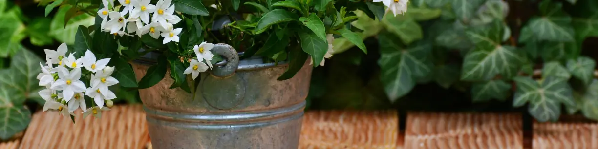 Zink & metalen potten