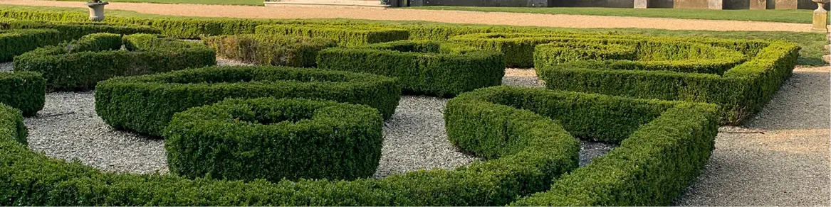 Haagplanten