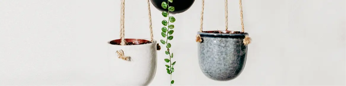 Hanging baskets