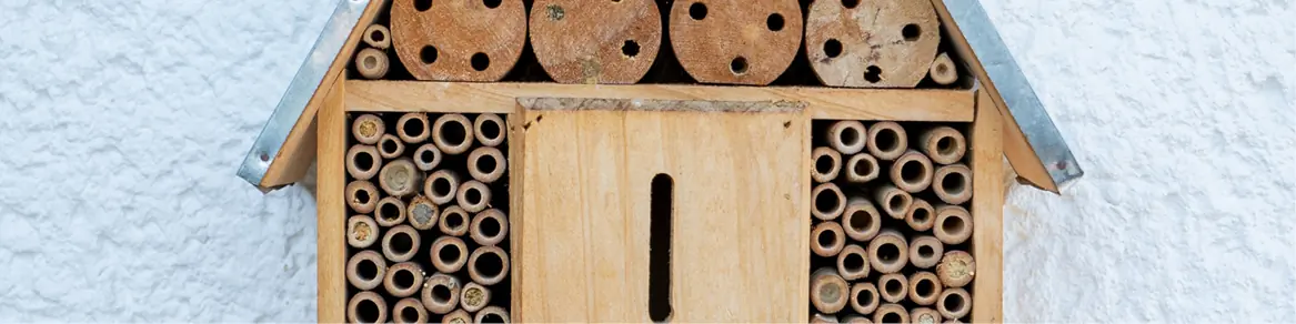 Insectenhuisjes