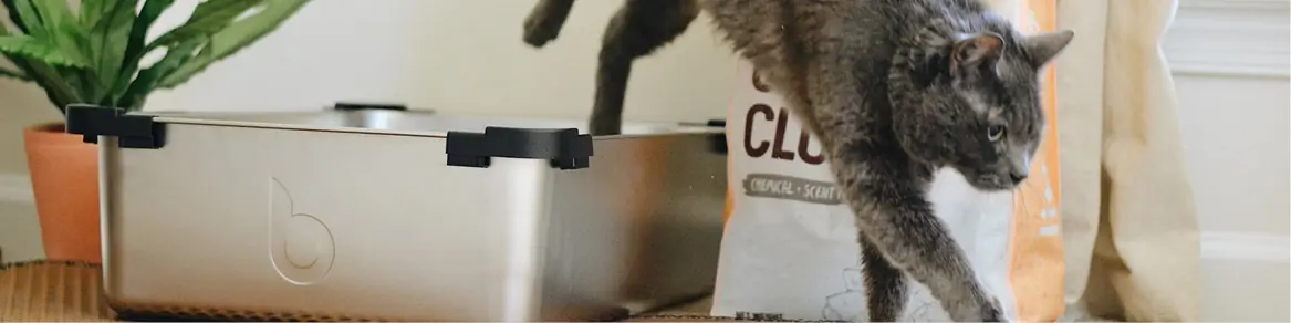 Toilet & kattenbakvulling