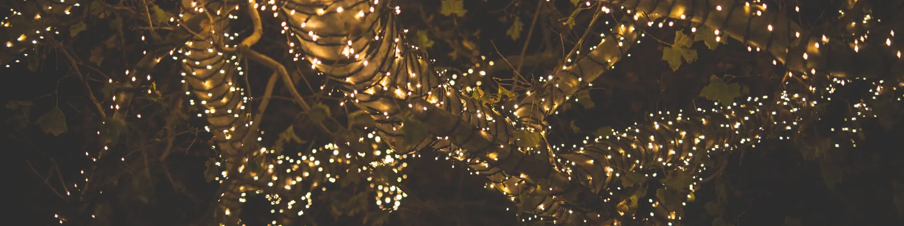 Kersttakken, kransen & boompjes