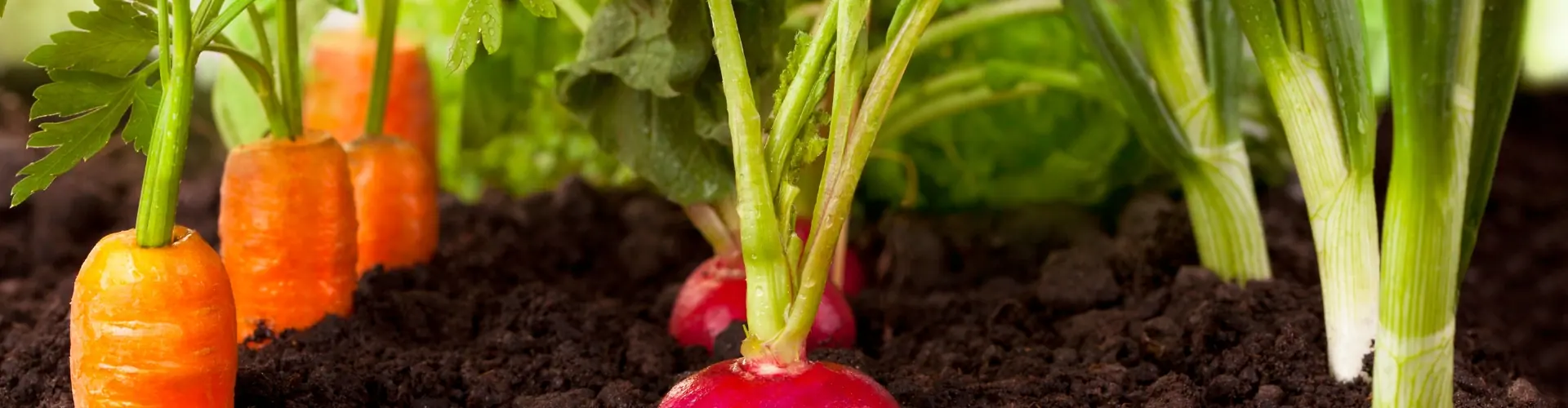 moestuinkalender