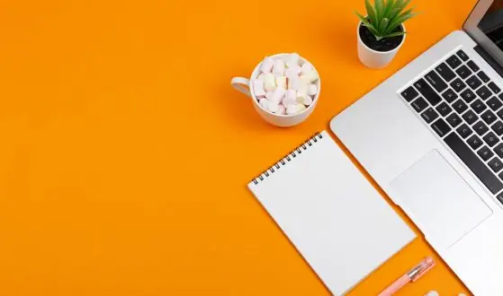 blogs & vlogs