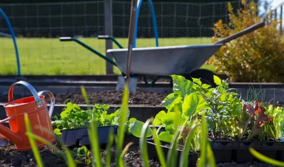Moestuin - Warentuin Magazine