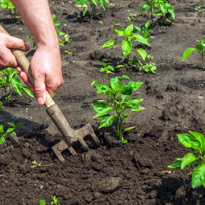 moestuinkalender warentuin magazine