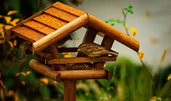 vogelhuisjes