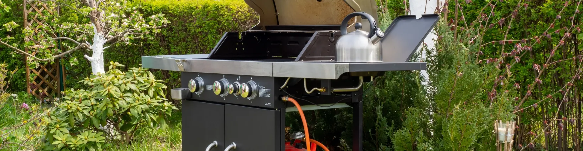 blog - een barbecue kiezen die bij je past