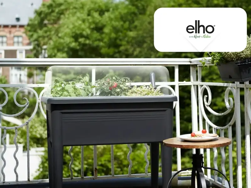 Elho