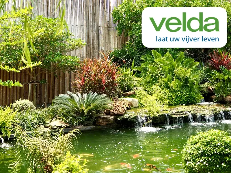 Velda