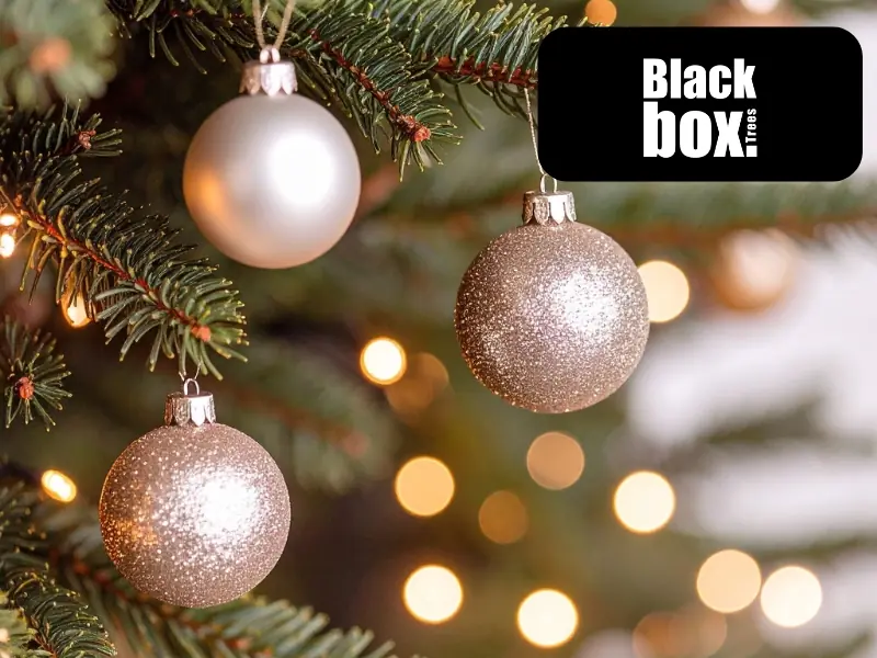 Black Box