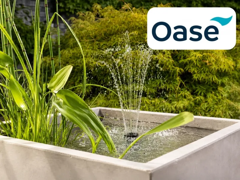 Oase